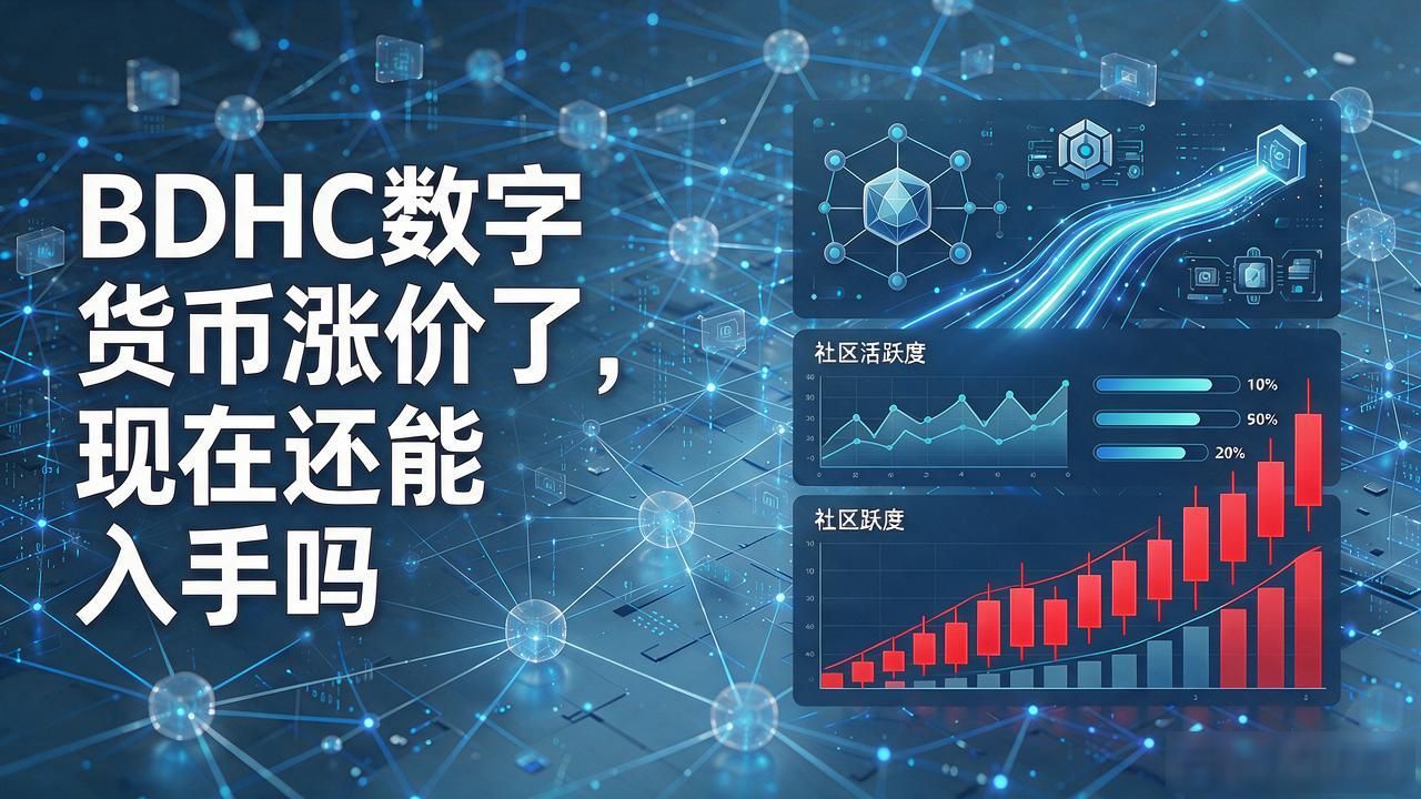 bdhc数字货币现在涨价如何_BDHC价格波动原因_BDHC技术合作项目分析